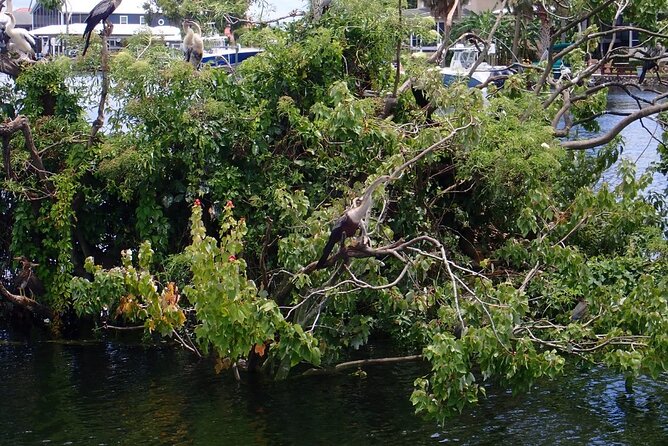 River Cruise Tour with Manatee Viewing - Meeting Point and Tour Logistics
