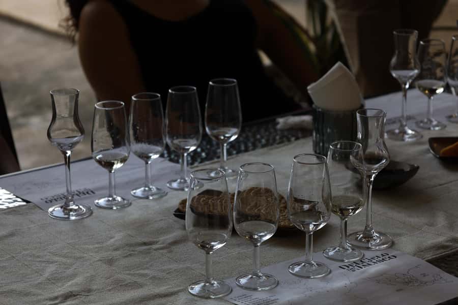 Riviera Maya: 1.5 hr Tequila Tasting with an Expert - Sampling the Three Tequilas: Blanco, Reposado, and Añejo