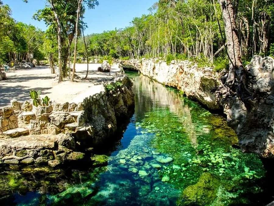 Riviera Maya: Full Day Tour to 5 Magical Cenotes - Discover the Unique Cenotes at Casa Tortuga