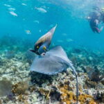 Riviera Maya: Private Catamaran Sailing for 42 Guests - How the Private Catamaran Sets Sail in Riviera Maya