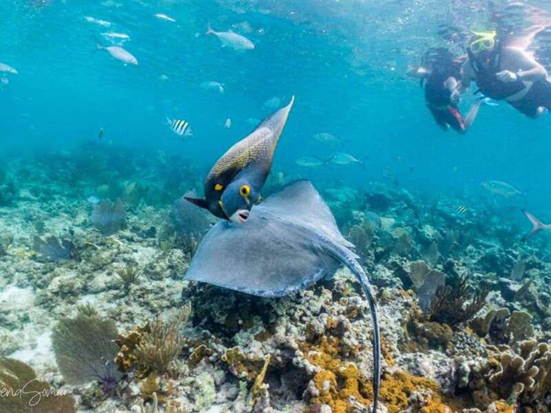 Riviera Maya: Private Catamaran Sailing for 42 Guests - How the Private Catamaran Sets Sail in Riviera Maya