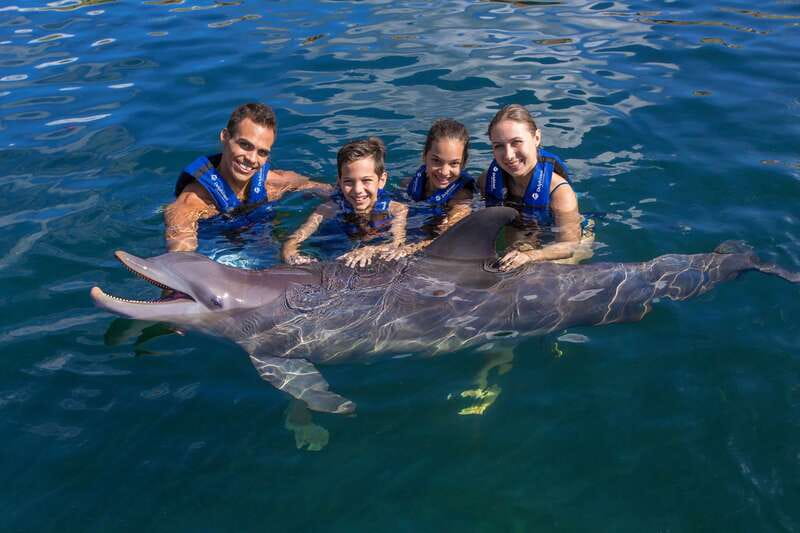 Riviera Maya: Swimming Experience with Dolphins - Meeting Point Next to Xcaret Park Parking Lot