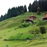 Rize: Ayder Tour & Kaçkar Mountans & Frtna Valley - Exciting Water Adventures in Frtna Valley