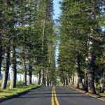 Road to Hana: Full-Day Scenic Drive with Blacksand & Waterfalls - Exploring Keanae Village and Its Culinary Roots