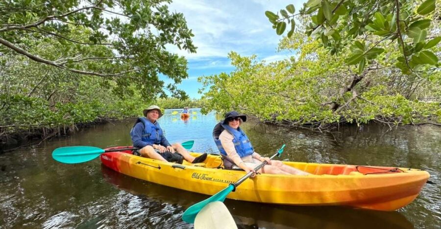 Robinson Preserve Mangrove Tour - Wildlife Viewing in Robinson Preserve