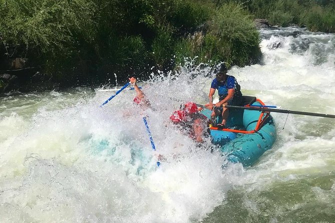Rogue River Thrill Seeker - Starting Point at Orange Torpedo Trips in Merlin