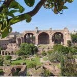 Roman Forum and Palatine Hill Access - Discovering Palatine Hill’s Ancient Residences