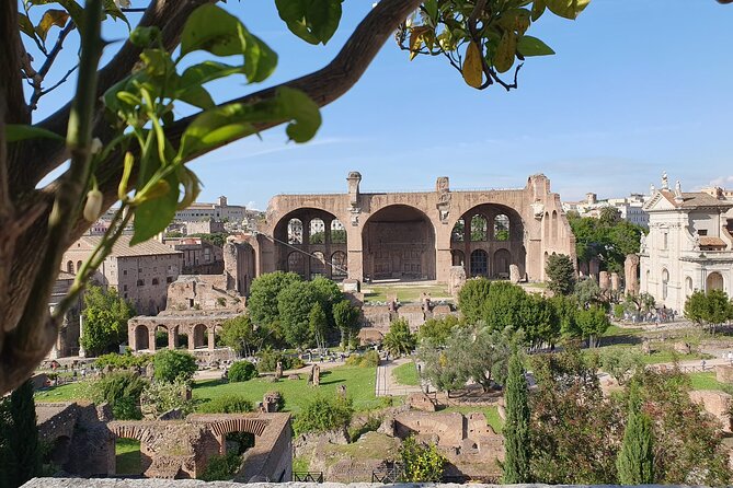 Roman Forum and Palatine Hill Access - Discovering Palatine Hill’s Ancient Residences