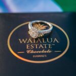 Romantic Kona Coffee & Landing: Private Helicopter Tour - Starting Point and Arrival Details in Kona