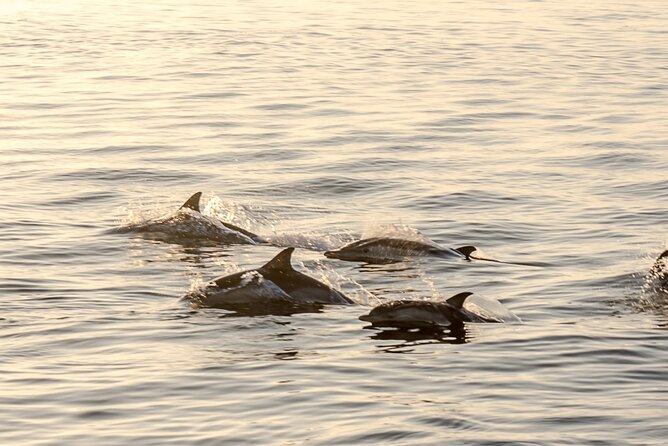 Romatic sea experience (Sunset + overnight + Breakfast) - Sleep Under the Stars in Estepona Bay