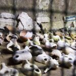 Rome: Catacombs for Kids Private Family Tour with Capuchins Crypt - Exploring the Catacombe di Domitilla