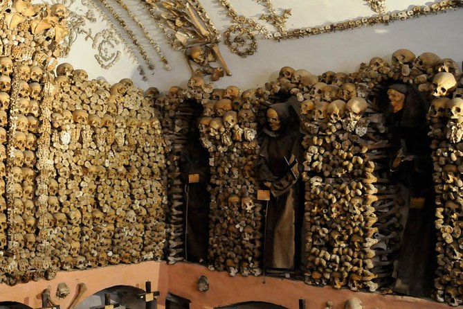 Rome for Kids: Private Underground Adventure Tour - Starting Point and Tour Logistics in Rome