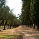 Rome Golf Cart Tour: Catacombs, Ancient Ruins & Iconic Landmarks - Starting Point and Tour Duration in Rome