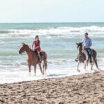 Rome: Horseback Riding on the Beach with aperitif - The Scenic Trail Through Roman Ruins and Pinewood Forests