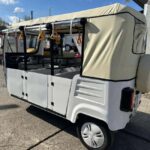 Rome in a Calessino: La Dolce Vita on 3 wheels - Exploring Rome’s Iconic Squares and Monuments on Three Wheels