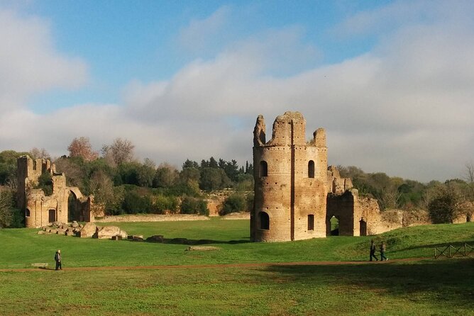 Rome: Private Airport Transfer FCO - What to Expect in a Typical Transfer