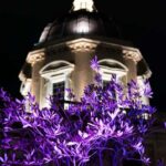 Rome: Santa Maria Maggiore Tour + Optional Terrace Access - Meeting at Via Liberiana 8, Next to Santa Maria Maggiore