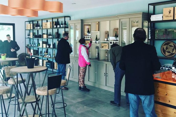 Ronda Private Wine Tour + Free Time in Ronda - Highlights of the Winery Experience: Tasting and Education