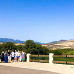 Ronda: Winery Tour with Wine Tasting and Tapas - Inside the Cellars and Production Rooms