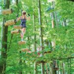 Ropes Park Interlaken - The Location and Meeting Point in Interlaken