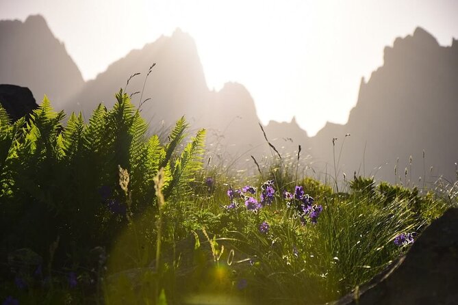 Round Trip Bus Transfer to Juta from Kazbegi - Easy, dependable transportation from Kazbegi to Juta