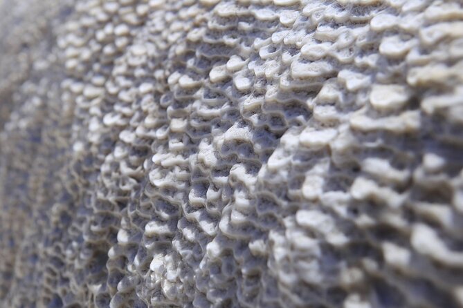 Round-Trip Bus Transfer to Truso Valley from Kazbegi - The Magnificence of Truso Valley