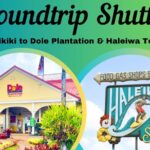 Roundtrip Shuttle From Waikiki to Dole Plantation & Haleiwa Town - Exploring Dole Plantation: Hawaii’s Pineapple Paradise