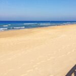 Route from Vejer for the South Beaches of Cádiz in SUV (4x4) - Exploring the Roman Ruins at Baelo Claudia