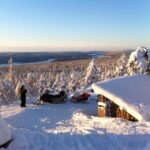 Rovaniemi: 3-Hour Snowmobile Safari in Lapland - Pickup Locations and Meeting Arrangements in Rovaniemi