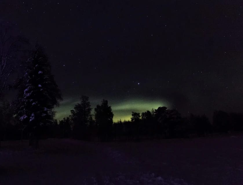 Rovaniemi: Aurora Hunting Tour in the Forest with Hot Drinks - Departure Points and Flexibility