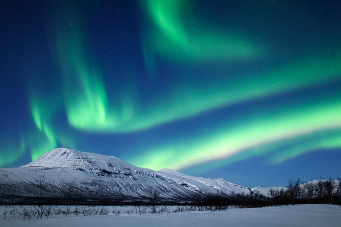 Rovaniemi Aurora Hunting Tour - Departure and Logistics for the Rovaniemi Aurora Tour