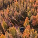 Rovaniemi Autumn Husky Safari & BBQ  610 km SelfDrive - The Unique Self-Drive Husky Experience in Lapland