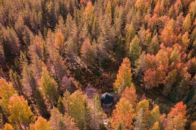 Rovaniemi Autumn Husky Safari & BBQ 610 km SelfDrive - The Unique Self-Drive Husky Experience in Lapland