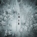 Rovaniemi: Daytime Reindeer Sleigh Ride - Meeting Point and Tour Schedule