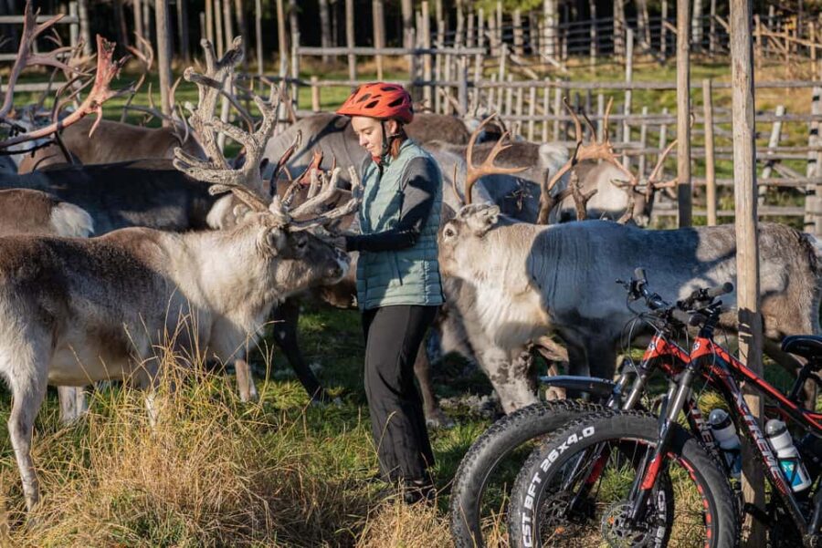 Rovaniemi: E-fatbike Trip to the Reindeer Farm - The Scenic Forest Ride to the Reindeer Farm
