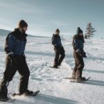 Rovaniemi: Guided Lappish Wilderness Snowshoeing Adventure - Starting Point and Transportation in Rovaniemi