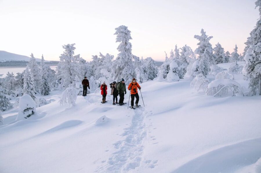 Rovaniemi: Hiking and Snowshoeing Adventure in Lapland - Guided Snowshoeing in the Arctic Forest