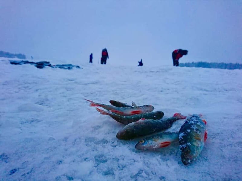 Rovaniemi: Ice Fishing by Snowmobile - Discovering the Ice Fishing Spot in the Lapland Wilderness
