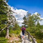 Rovaniemi: Korouoma Canyon Hike and Barbecue Experience - Pickup and Meeting Arrangements in Rovaniemi