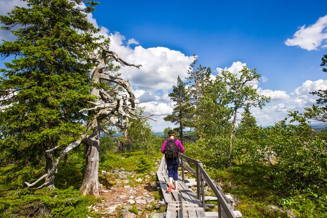 Rovaniemi: Korouoma Canyon Hike and Barbecue Experience - Pickup and Meeting Arrangements in Rovaniemi