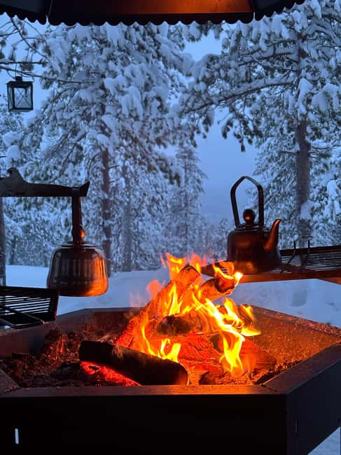 Rovaniemi: Mystical Lapland Forest Entry Ticket - Starting Point and How to Find It