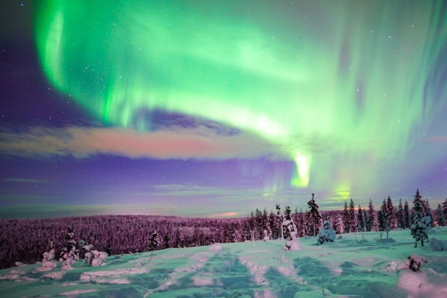 Rovaniemi: Northern Lights Snowmobile Tour - Starting Point and Logistics in Rovaniemi