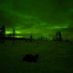 Rovaniemi: Northern Lights Tour at the Campfire - The Private Forest Setting for Aurora Viewing