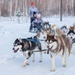 Rovaniemi: One Hour Husky Trip with hotel pick up - Learning About Husky Care and Training
