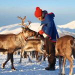 Rovaniemi: Reindeer Farm Visit with Sleigh Ride & Snacks - The Reindeer Sleigh Ride Through Snowy Forests