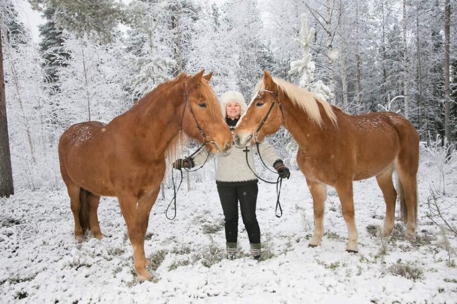 Rovaniemi: Riding Tour with Finnhorses at SCV - Personal Experiences and Customer Satisfaction