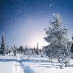 Rovaniemi: Riisitunturi Full-Day Wilderness Adventure & BBQ - The Cozy Finnish Barbecue in the Wilderness