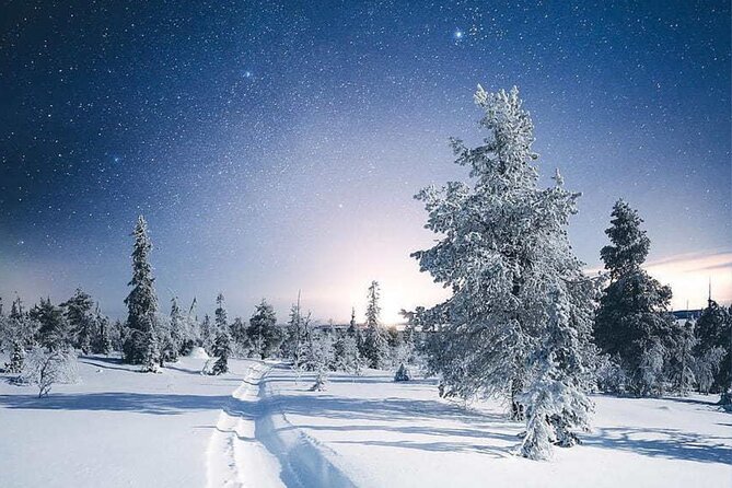 Rovaniemi: Riisitunturi Full-Day Wilderness Adventure & BBQ - The Cozy Finnish Barbecue in the Wilderness