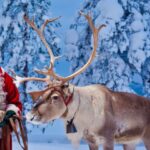 Rovaniemi: Santa Claus Village and Arctic Circle - Visiting Santa Claus Village in Rovaniemi