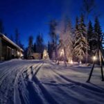 Rovaniemi: Self-drive Husky ride with a Reindeer Farm visit - Engaging Self-Drive Husky Sleigh Through Lapland’s Forests